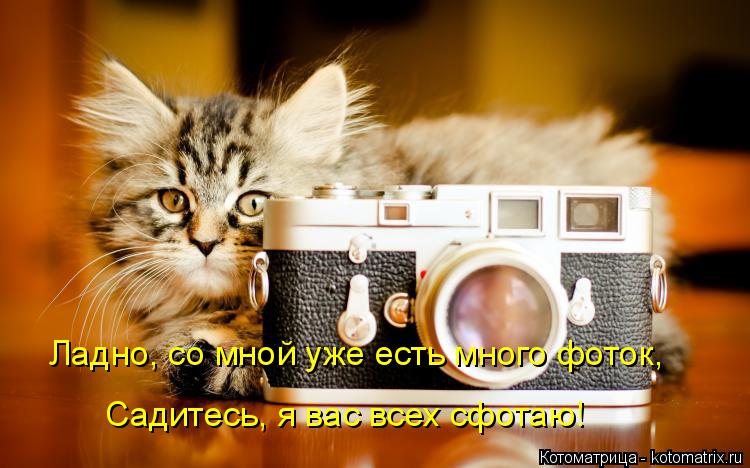Ладно, со мной уже есть много фоток, Садитесь, я вас всех сфотаю!... Котоматрица: Ладно, со мной уже есть много фоток, Садитесь, я вас всех сфотаю!