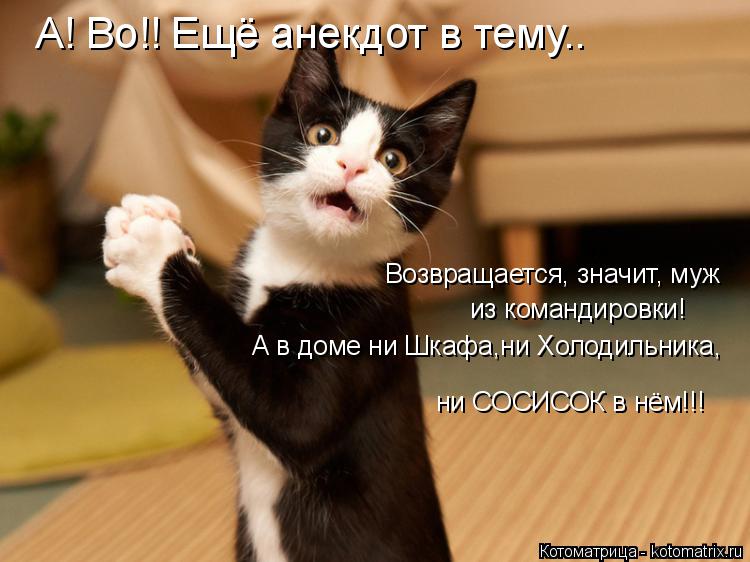 А! Во!! Ещё анекдот в тему.. Возвращается, значит, муж из командировки! А в доме ни Шкафа,ни Холодиль... Котоматрица: А! Во!! Ещё анекдот в тему.. Возвращается, значит, муж из командировки! А в доме ни Шкафа,ни Холодильника, ни СОСИСОК в нём!!!