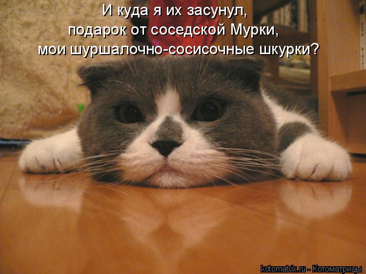 И куда я их засунул, подарок от соседской Мурки, мои шуршалочно-сосисочные шкурки?... Котоматрица: И куда я их засунул, подарок от соседской Мурки, мои шуршалочно-сосисочные шкурки?