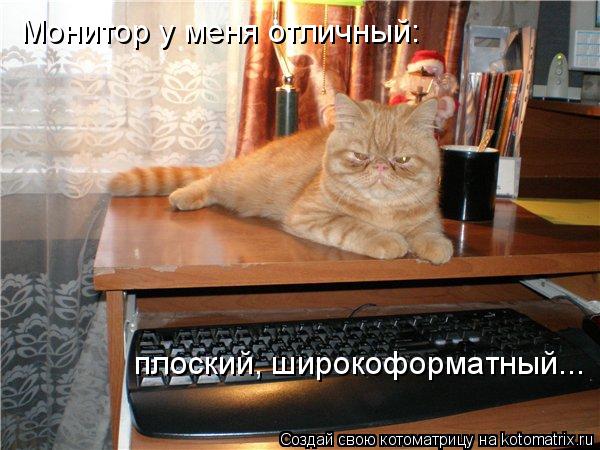 Монитор у меня отличный: плоский, широкоформатный...... Котоматрица: Монитор у меня отличный: плоский, широкоформатный...