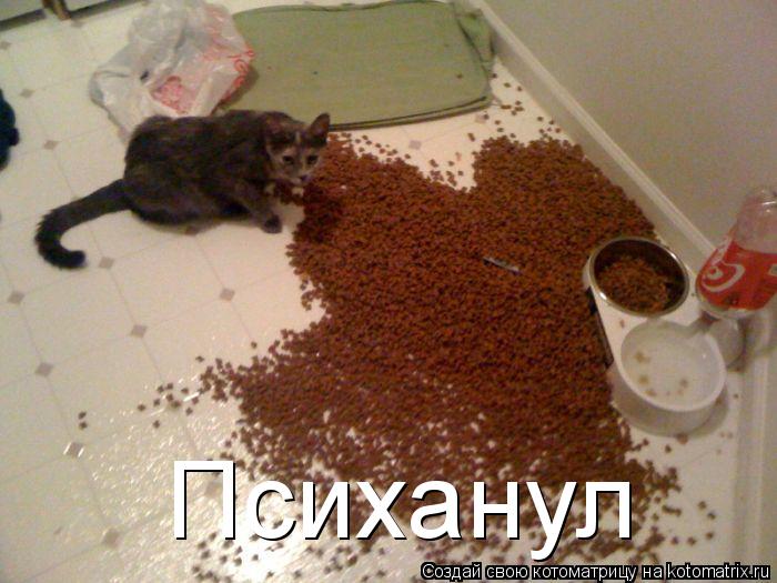 Психанул... Котоматрица: Психанул