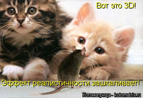 Вот это 3D! Эффект реалистичности зашкаливает!... Котоматрица: Вот это 3D! Эффект реалистичности зашкаливает!