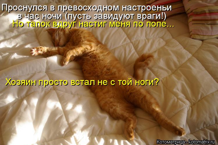 Проснулся в превосходном настроеньи в час ночи (пусть завидуют враги!) Но тапок вдруг настиг меня по ... Котоматрица: Проснулся в превосходном настроеньи в час ночи (пусть завидуют враги!) Но тапок вдруг настиг меня по попе... Хозяин просто встал не с той ноги