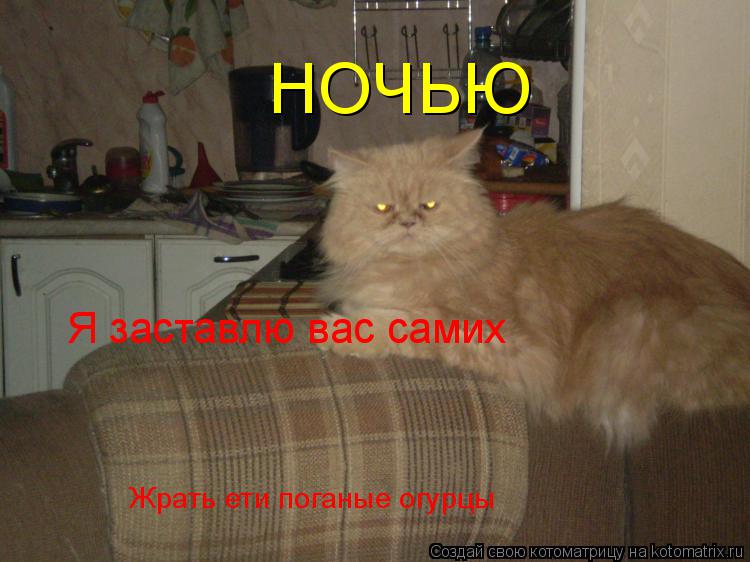 НОЧЬЮ Я заставлю вас самих Жрать ети поганые огурцы... Котоматрица: НОЧЬЮ Я заставлю вас самих Жрать ети поганые огурцы