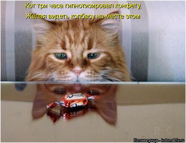 РљРѕРЅС„РµС‚С‹ РєРѕС‚СЌ