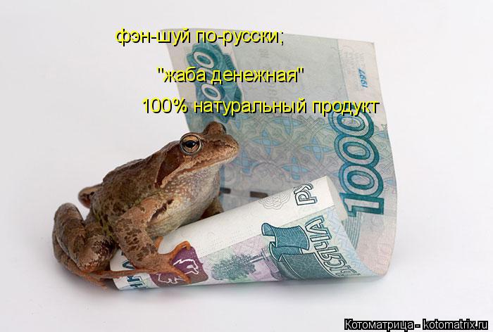 Котоматрица: фэн-шуй по-русски; "жаба денежная"  100% натуральный продукт