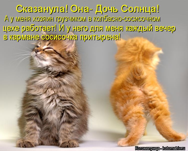 Сказанула! Она- Дочь Солнца! А у меня хозяин грузчиком в колбасно-сосисочном цехе работает! И у него... Котоматрица: Сказанула! Она- Дочь Солнца! А у меня хозяин грузчиком в колбасно-сосисочном цехе работает! И у него для меня каждый вечер в кармане сосисоч