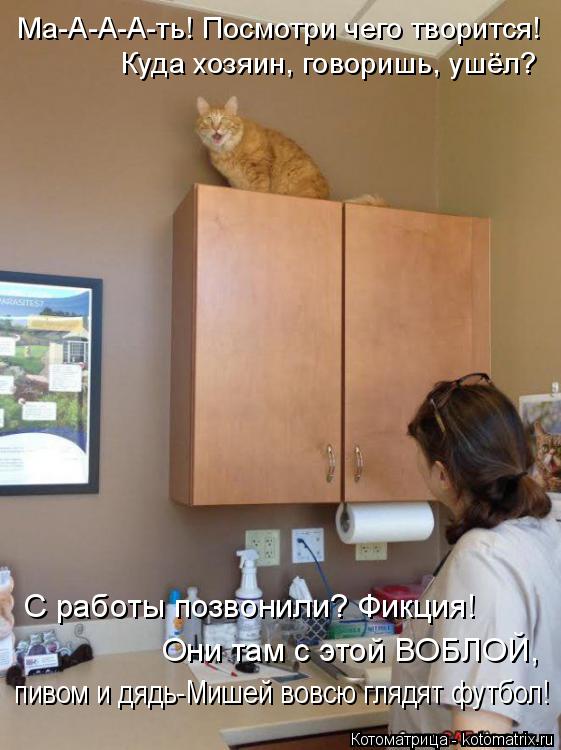 Ма-А-А-А-ть! Посмотри чего творится! Куда хозяин, говоришь, ушёл? Они там с этой ВОБЛОЙ, С работы поз... Котоматрица: Ма-А-А-А-ть! Посмотри чего творится! Куда хозяин, говоришь, ушёл? Они там с этой ВОБЛОЙ, С работы позвонили? Фикция! пивом и дядь-Мишей вовсю гл