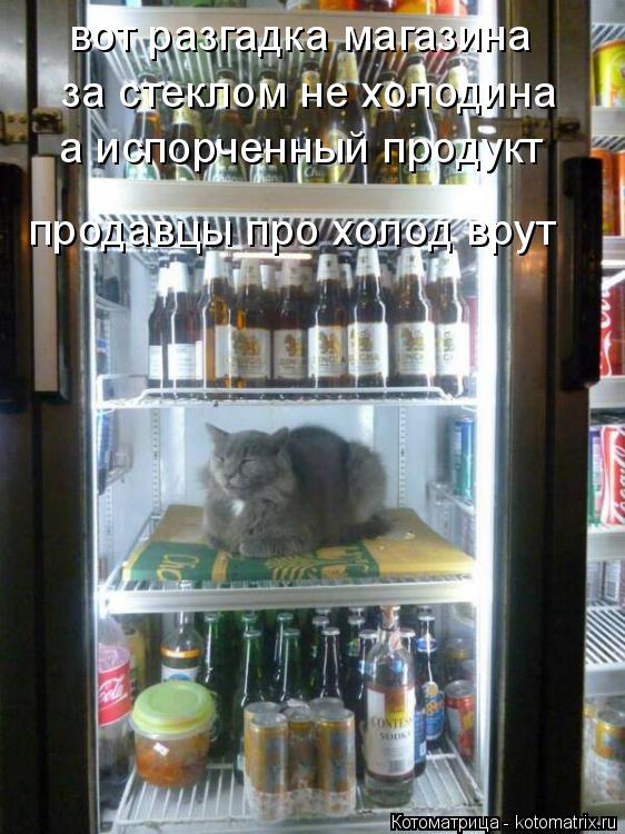вот разгадка магазина за стеклом не холодина а испорченный продукт продавцы про холод врут... Котоматрица: вот разгадка магазина за стеклом не холодина а испорченный продукт продавцы про холод врут