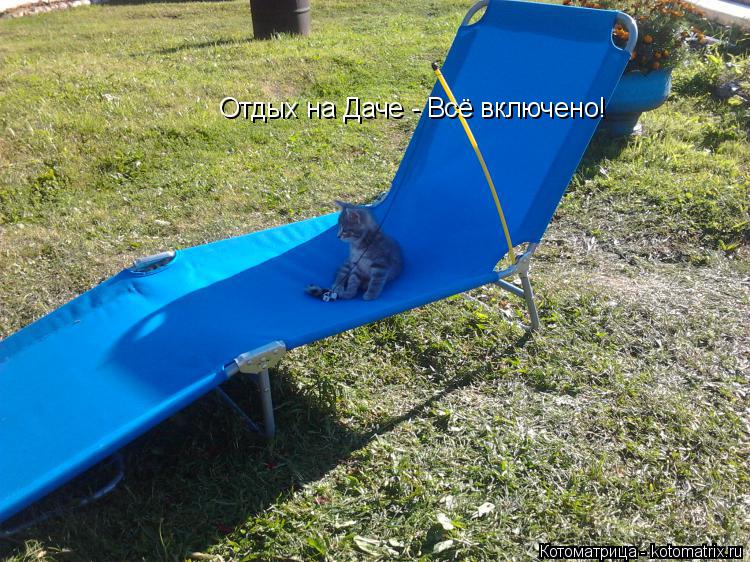 Отдых на Даче - Всё включено!... Котоматрица: Отдых на Даче - Всё включено!