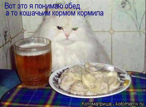 Вот это я понимаю обед а то кошачьим кормом кормила... Котоматрица: Вот это я понимаю обед а то кошачьим кормом кормила