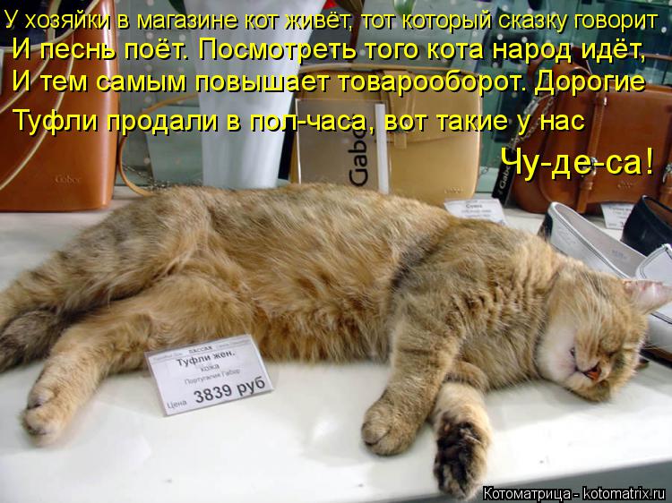 У хозяйки в магазине кот живёт, тот который сказку говорит И песнь поёт. Посмотреть того кота народ и... Котоматрица: У хозяйки в магазине кот живёт, тот который сказку говорит И песнь поёт. Посмотреть того кота народ идёт, И тем самым повышает товарооборот.