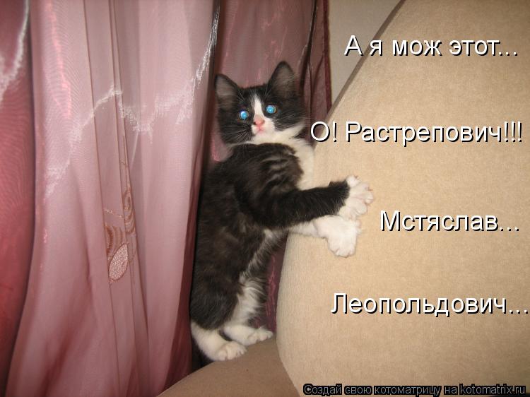 Котоматрица: Мстяслав... Леопольдович... О! Растрепович!!! А я мож этот...