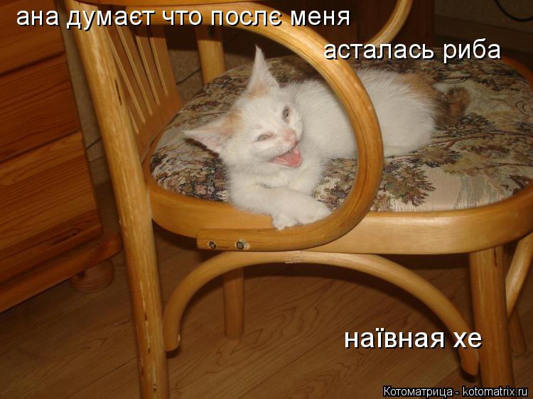 ана думаєт что послє меня асталась риба наївная хе... Котоматрица: ана думаєт что послє меня асталась риба наївная хе
