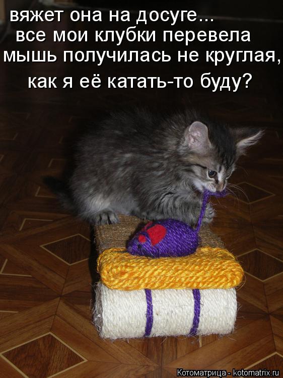 вяжет она на досуге... все мои клубки перевела мышь получилась не круглая, как я её катать-то буду?... Котоматрица: вяжет она на досуге... все мои клубки перевела мышь получилась не круглая, как я её катать-то буду?