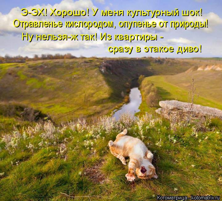 Э-ЭХ! Хорошо! У меня культурный шок! Ну нельзя-ж так! Из квартиры - сразу в этакое диво! Отравленье ... Котоматрица: Э-ЭХ! Хорошо! У меня культурный шок! Ну нельзя-ж так! Из квартиры - сразу в этакое диво! Отравленье кислородом, опупенье от природы!
