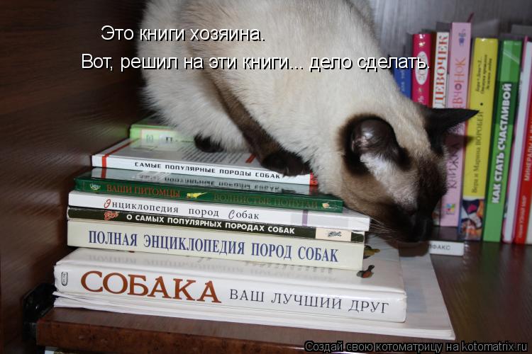 Вот, решил на эти книги... дело сделать. Это книги хозяина.... Котоматрица: Вот, решил на эти книги... дело сделать. Это книги хозяина.