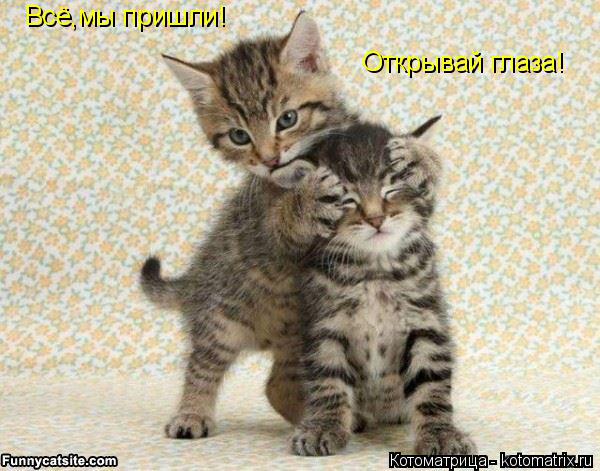 Всё,мы пришли! Открывай глаза!... Котоматрица: Всё,мы пришли! Открывай глаза!