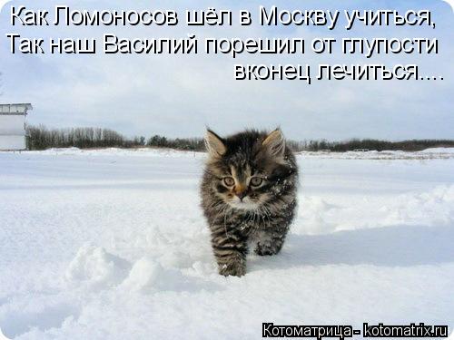Как Ломоносов шёл в Москву учиться, Так наш Василий порешил от глупости вконец лечиться....... Котоматрица: Как Ломоносов шёл в Москву учиться, Так наш Василий порешил от глупости вконец лечиться....