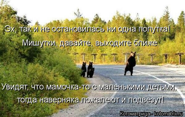 тогда наверняка пожалеют и подвезут! Увидят, что мамочка-то с маленькими детьми, Мишутки, давайте, в... Котоматрица: тогда наверняка пожалеют и подвезут! Увидят, что мамочка-то с маленькими детьми, Мишутки, давайте, выходите ближе. Эх, так и не остановилась