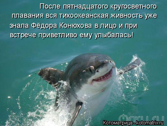 После пятнадцатого кругосветного плавания вся тихоокеанская живность уже знала Фёдора Конюхова в ли... Котоматрица: После пятнадцатого кругосветного плавания вся тихоокеанская живность уже знала Фёдора Конюхова в лицо и при встрече приветливо ему улыб