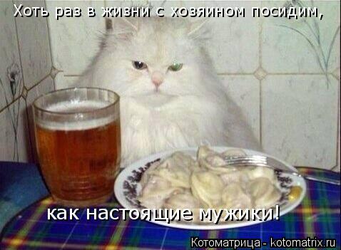 как настоящие мужики! Хоть раз в жизни с хозяином посидим,... Котоматрица: как настоящие мужики! Хоть раз в жизни с хозяином посидим,