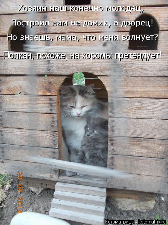 Хозяин наш конечно молодец, Построил нам не домик, а дворец! Но знаешь, мама, что меня волнует? Полка... Котоматрица: Хозяин наш конечно молодец, Построил нам не домик, а дворец! Но знаешь, мама, что меня волнует? Полкан, похоже, на хоромы претендует!