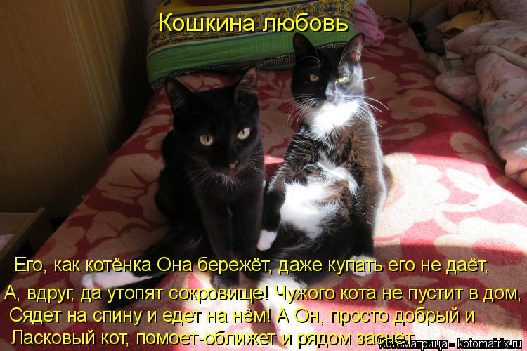 Кошкина любовь Его, как котёнка Она бережёт, даже купать его не даёт, А, вдруг, да утопят сокровище!... Котоматрица: Кошкина любовь Его, как котёнка Она бережёт, даже купать его не даёт, А, вдруг, да утопят сокровище! Чужого кота не пустит в дом, Сядет на спин