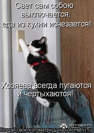 Свет сам собою еда из кухни исчезается! выключается, Хозяева всегда пугаются и чертыхаются!... Котоматрица: Свет сам собою еда из кухни исчезается! выключается, Хозяева всегда пугаются и чертыхаются!