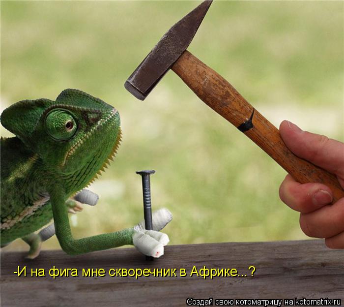-И на фига мне скворечник в Африке...?... Котоматрица: -И на фига мне скворечник в Африке...?