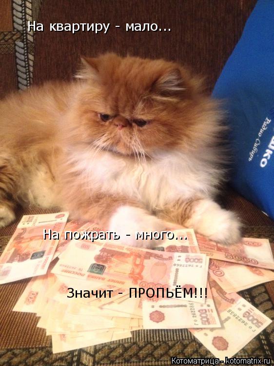 На квартиру - мало... На пожрать - много... Значит - ПРОПЬЁМ!!!... Котоматрица: На квартиру - мало... На пожрать - много... Значит - ПРОПЬЁМ!!!