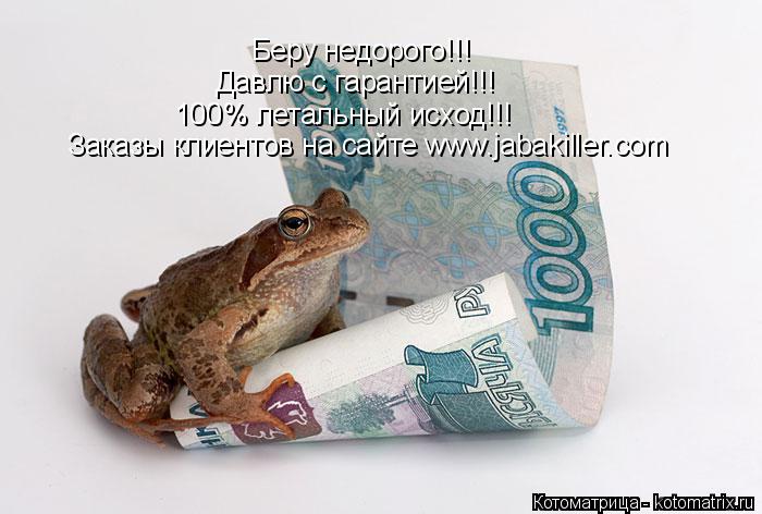 Беру недорого!!! Давлю с гарантией!!! 100% летальный исход!!! Заказы клиентов на сайте www.jabakiller... Котоматрица: Беру недорого!!! Давлю с гарантией!!! 100% летальный исход!!! Заказы клиентов на сайте www.jabakiller.com