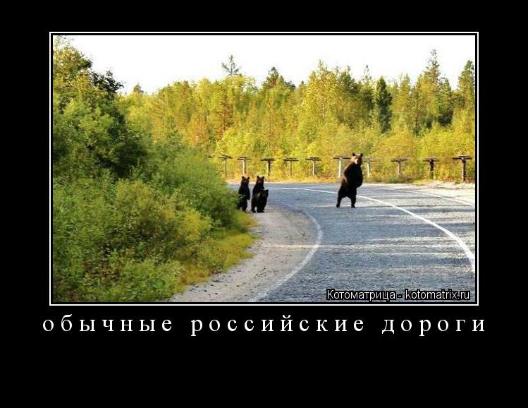 обычные российские дороги ... Котоматрица: обычные российские дороги