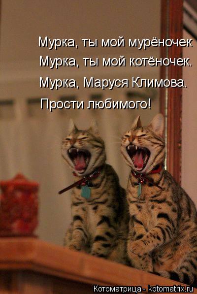 Мурка, ты мой мурёночек Мурка, ты мой котёночек. Мурка, Маруся Климова. Прости любимого!... Котоматрица: Мурка, ты мой мурёночек Мурка, ты мой котёночек. Мурка, Маруся Климова. Прости любимого!