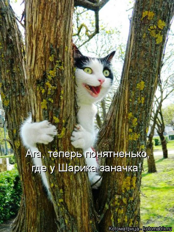 Ага, теперь понятненько, где у Шарика заначка!... Котоматрица: Ага, теперь понятненько, где у Шарика заначка!
