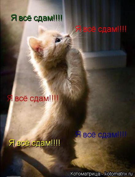 Я всё сдам!!!! Я всё сдам!!!! Я всё сдам!!!! Я всё сдам!!!! Я всё сдам!!!!... Котоматрица: Я всё сдам!!!! Я всё сдам!!!! Я всё сдам!!!! Я всё сдам!!!! Я всё сдам!!!!