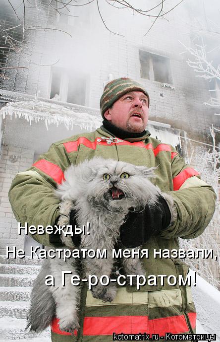 Невежды! Не Кастратом меня назвали, а Ге-ро-стратом!... Котоматрица: Невежды! Не Кастратом меня назвали, а Ге-ро-стратом!