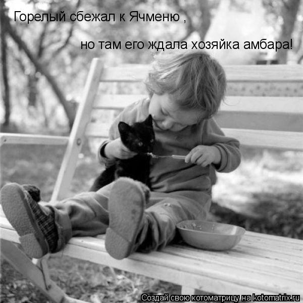 Горелый сбежал к Ячменю , но там его ждала хозяйка амбара!... Котоматрица: Горелый сбежал к Ячменю , но там его ждала хозяйка амбара!