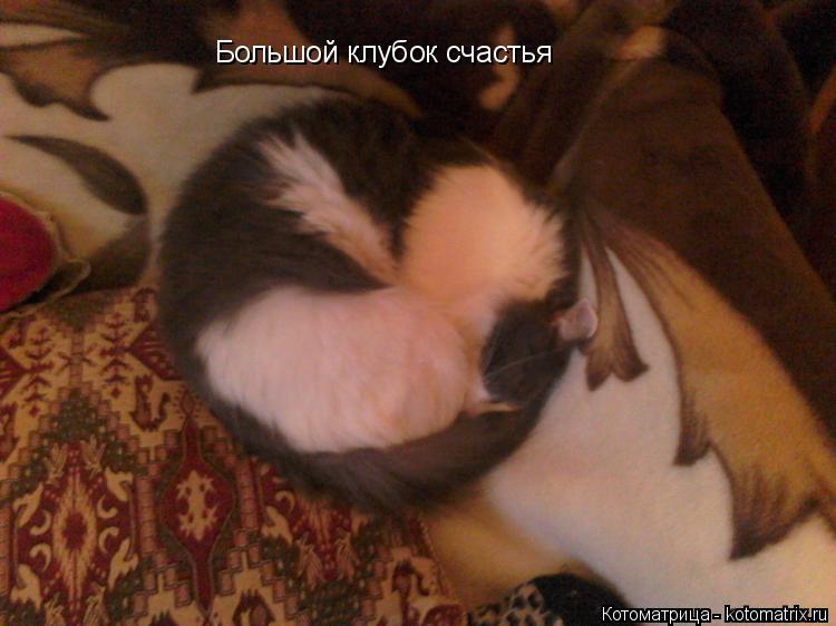 Большой клубок счастья... Котоматрица: Большой клубок счастья