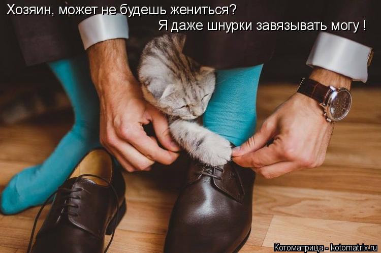 Хозяин, может не будешь жениться? Я даже шнурки завязывать могу !... Котоматрица: Хозяин, может не будешь жениться? Я даже шнурки завязывать могу !