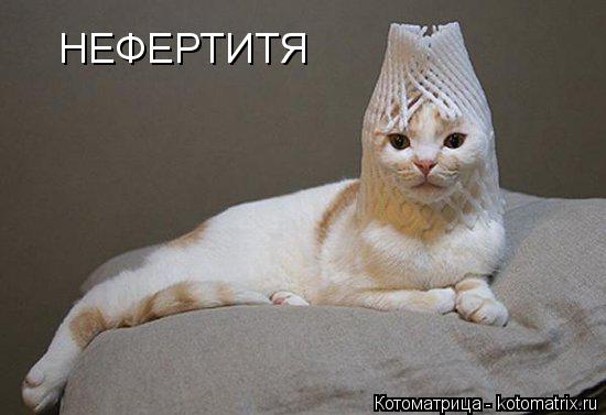 НЕФЕРТИТЯ... Котоматрица: НЕФЕРТИТЯ
