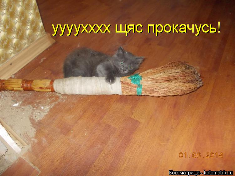 уууухххх щяс прокачусь!... Котоматрица: уууухххх щяс прокачусь!