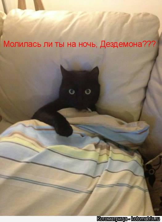 Молилась ли ты на ночь, Дездемона???... Котоматрица: Молилась ли ты на ночь, Дездемона???