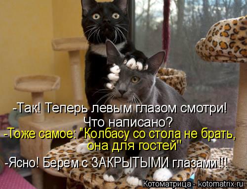 Котоматрица: -Так! Теперь левым глазом смотри! Что написано? -Тоже самое: "Колбасу со стола не брать,  она для гостей" -Ясно! Берем с ЗАКРЫТЫМИ глазами!!!