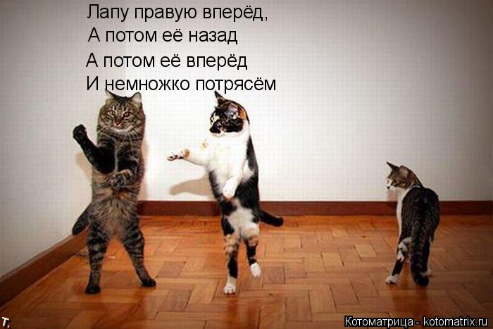 Лапу правую вперёд, А потом её назад А потом её вперёд И немножко потрясём... Котоматрица: Лапу правую вперёд, А потом её назад А потом её вперёд И немножко потрясём