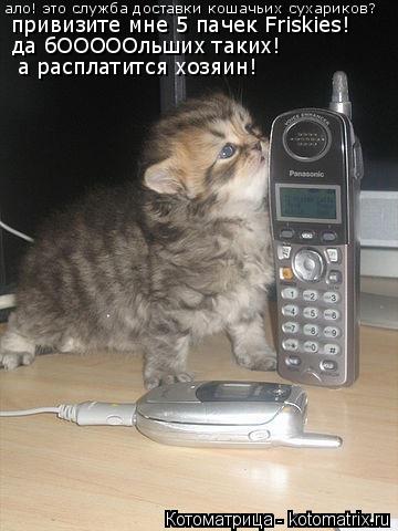 ало! это служба доставки кошачьих сухариков? привизите мне 5 пачек Friskies! да бОООООльших таких! а ... Котоматрица: ало! это служба доставки кошачьих сухариков? привизите мне 5 пачек Friskies! да бОООООльших таких! а расплатится хозяин!