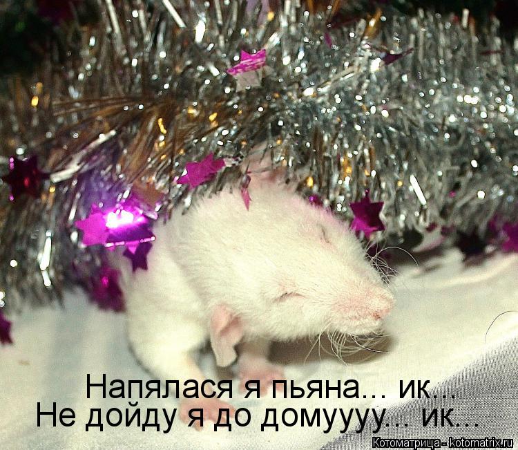 Напялася я пьяна... ик... Не дойду я до домуууу... ик...... Котоматрица: Напялася я пьяна... ик... Не дойду я до домуууу... ик...