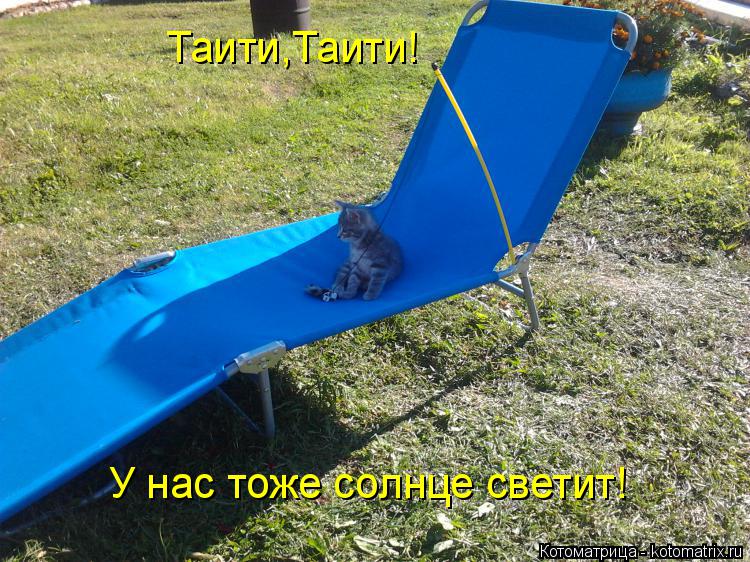 Таити,Таити! У нас тоже солнце светит!... Котоматрица: Таити,Таити! У нас тоже солнце светит!