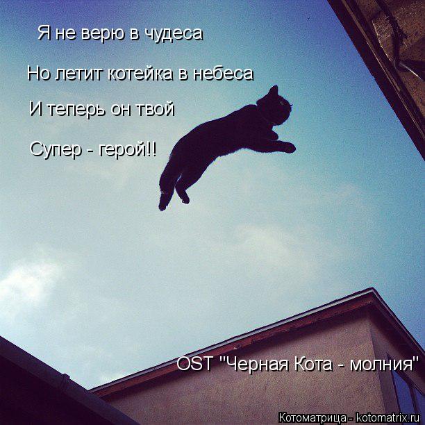 Я не верю в чудеса Но летит котейка в небеса И теперь он твой Супер - герой!! OST "Черная Кота - молн... Котоматрица: Я не верю в чудеса Но летит котейка в небеса И теперь он твой Супер - герой!! OST "Черная Кота - молния"