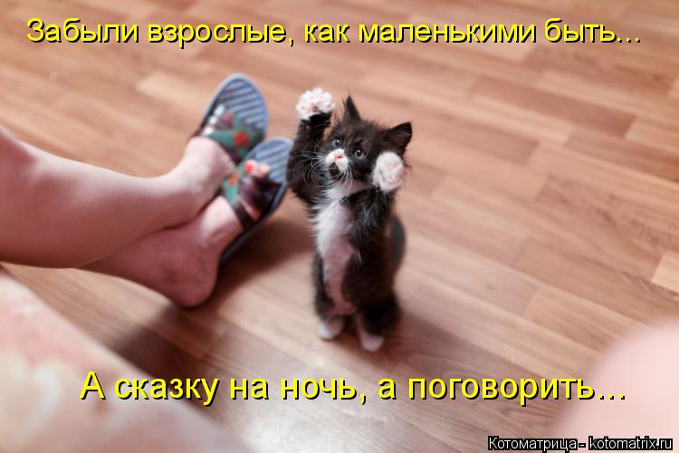 Забыли взрослые, как маленькими быть... А сказку на ночь, а поговорить...... Котоматрица: Забыли взрослые, как маленькими быть... А сказку на ночь, а поговорить...